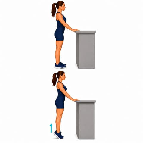 Standing Calf Raises exercise illustration