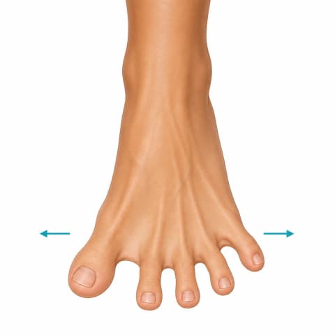 Toe Spreading Exercises exercise illustration