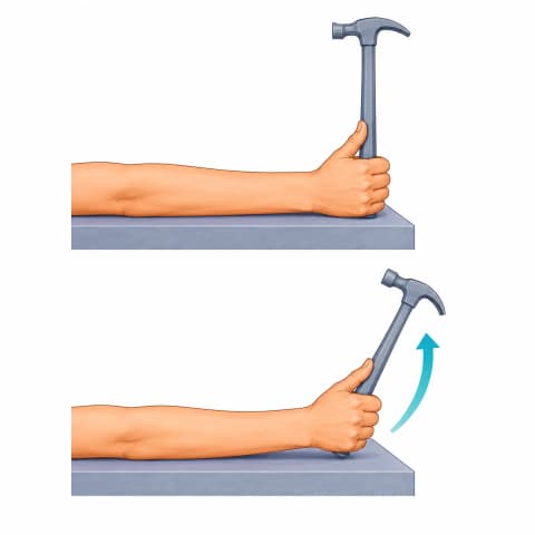 Wrist Deviation (Side-to-Side) exercise illustration